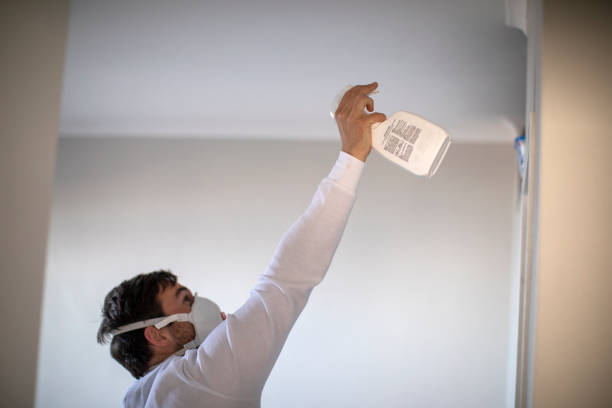 Best Residential Mold Removal  in Vaville, CA