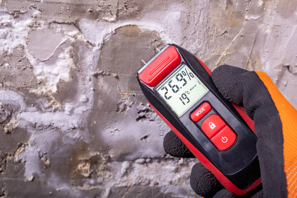 Best Certified Mold Removal  in Vaville, CA
