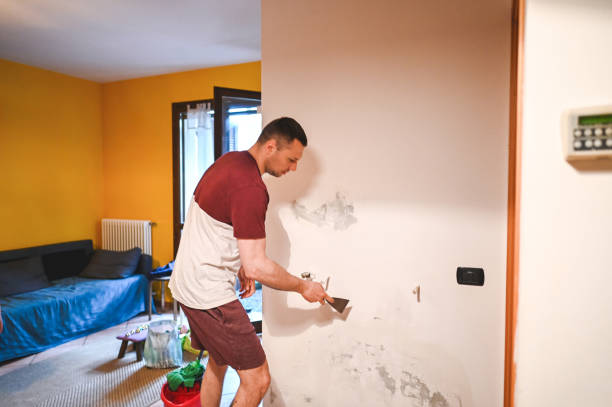 Best Fast Mold Removal  in Vaville, CA
